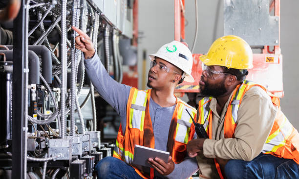 Best Electric Panel Repair  in Edgerton, KS